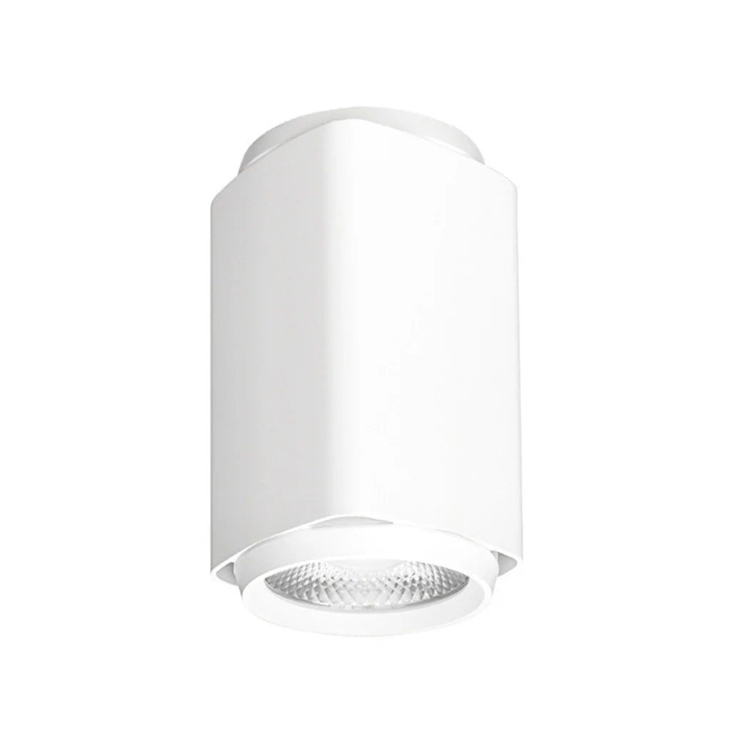 Surface Mounted LED Downlight 25w White, Black 3k, 4k CRI 90+ XSI253, XSI254 Trend Lighting - Mases LightingTrend Lighting