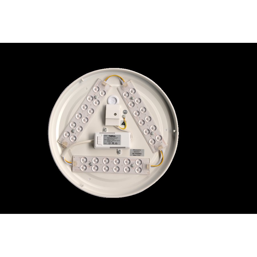 Astrid 53 LED Oyster Light in Satin/Silver/Clear