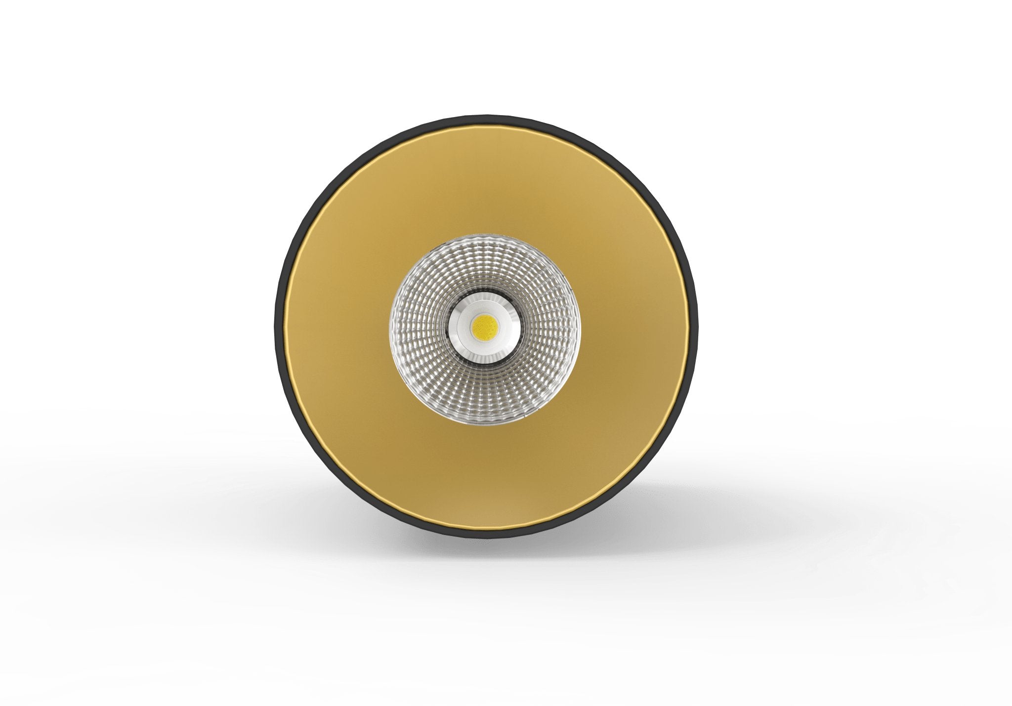 LC306 12W Surface Mounted Downlight CCT Black/Gold | Lighting Creations
