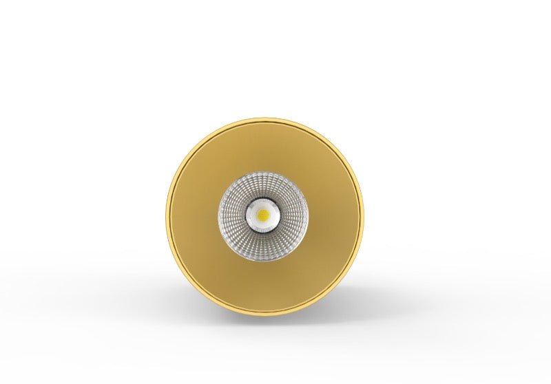 LC307 12W Surface Mounted Downlight CCT Brass 200mm - Mases LightingLighting Creations