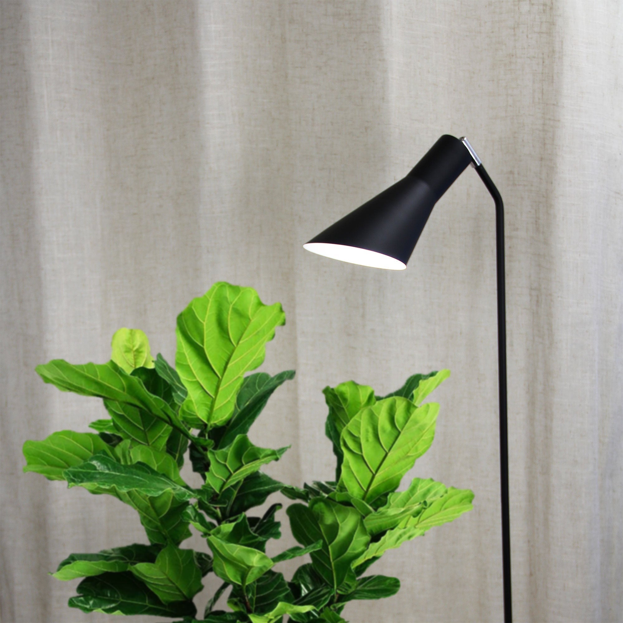 Thor 1 Light Floor Lamp Black - OL93933BK - Mases LightingOriel Lighting