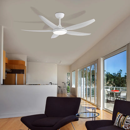 Brilliant Amari Series II 56'' DC 5-Blades Ceiling Fan With or Without Light