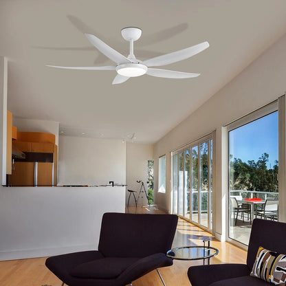 Brilliant Amari Series II 56'' DC 5-Blades Ceiling Fan With or Without Light - Mases LightingBrilliant Lighting
