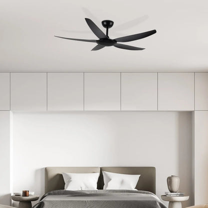 Brilliant Amari Series II 56'' DC 5-Blades Ceiling Fan With or Without Light - Mases LightingBrilliant Lighting