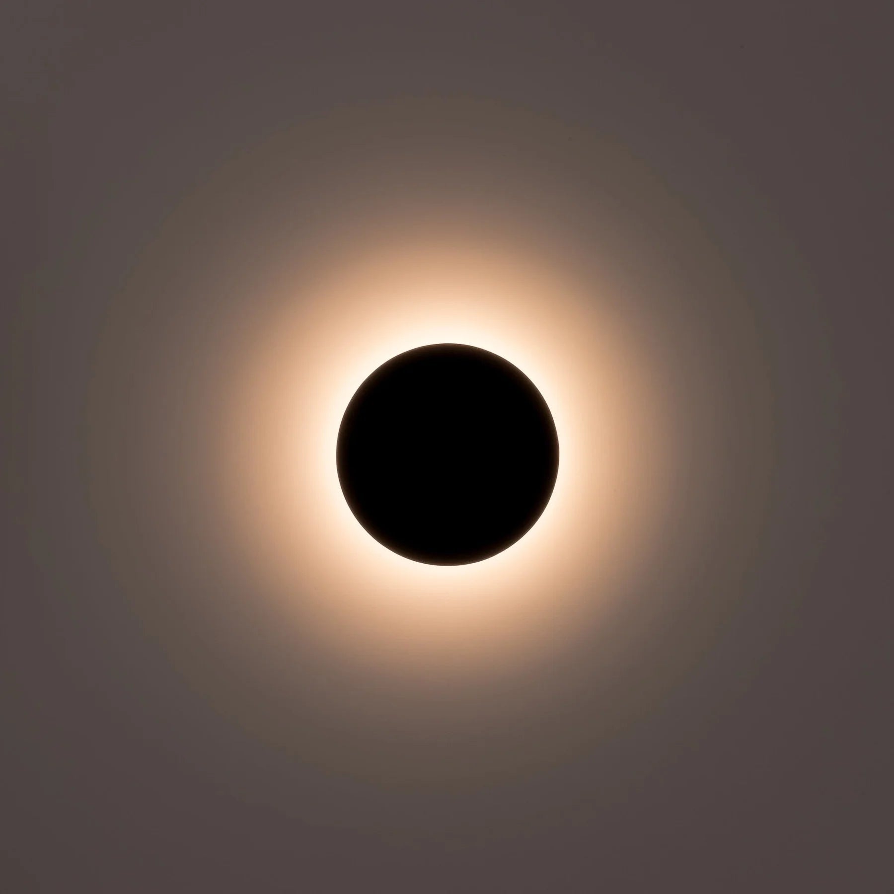 Halo LED Wall Light CCT 7w in Black or White Havit Lighting - HV3591T