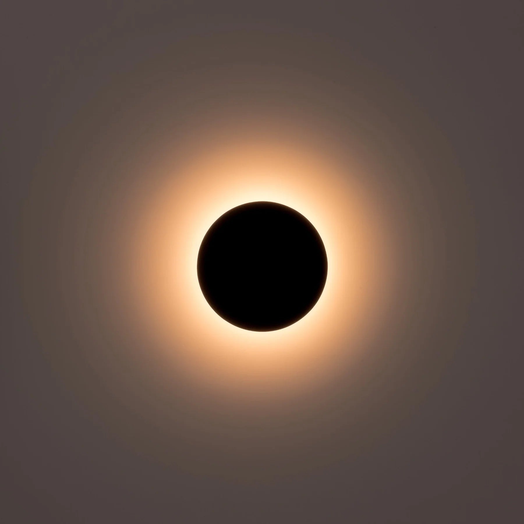 Halo LED Wall Light CCT 7w in Black or White Havit Lighting - HV3591T