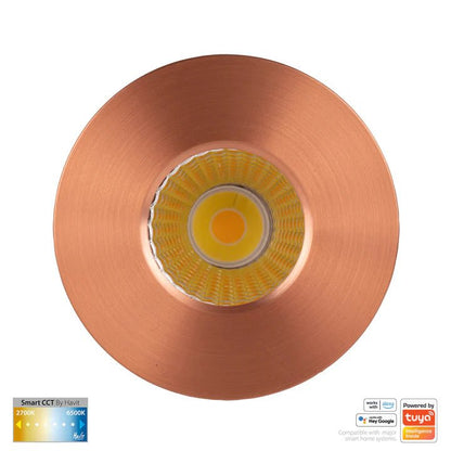 Havit Prime Fixed CCT WIFI LED Downlight Series HV5511CCT - Mases LightingHavit Lighting
