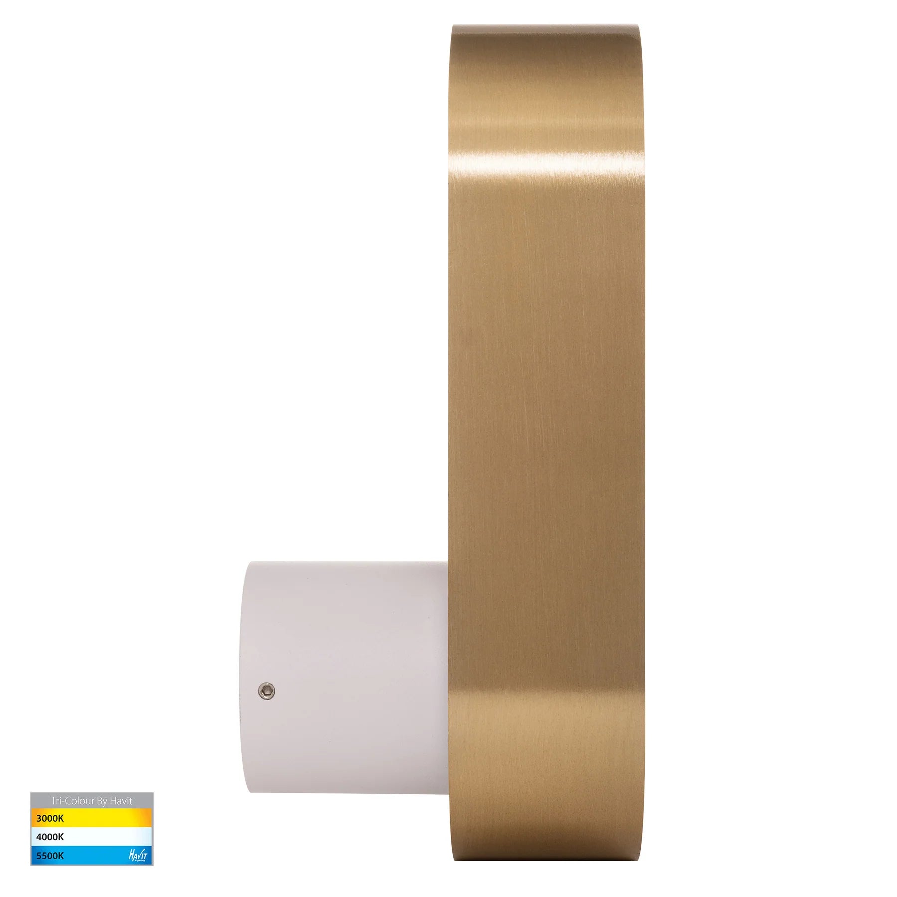 Ovale Indoor LED Wall Light in Black, Black/Brass, White, White/Brass Havit Lighting - HV8080T