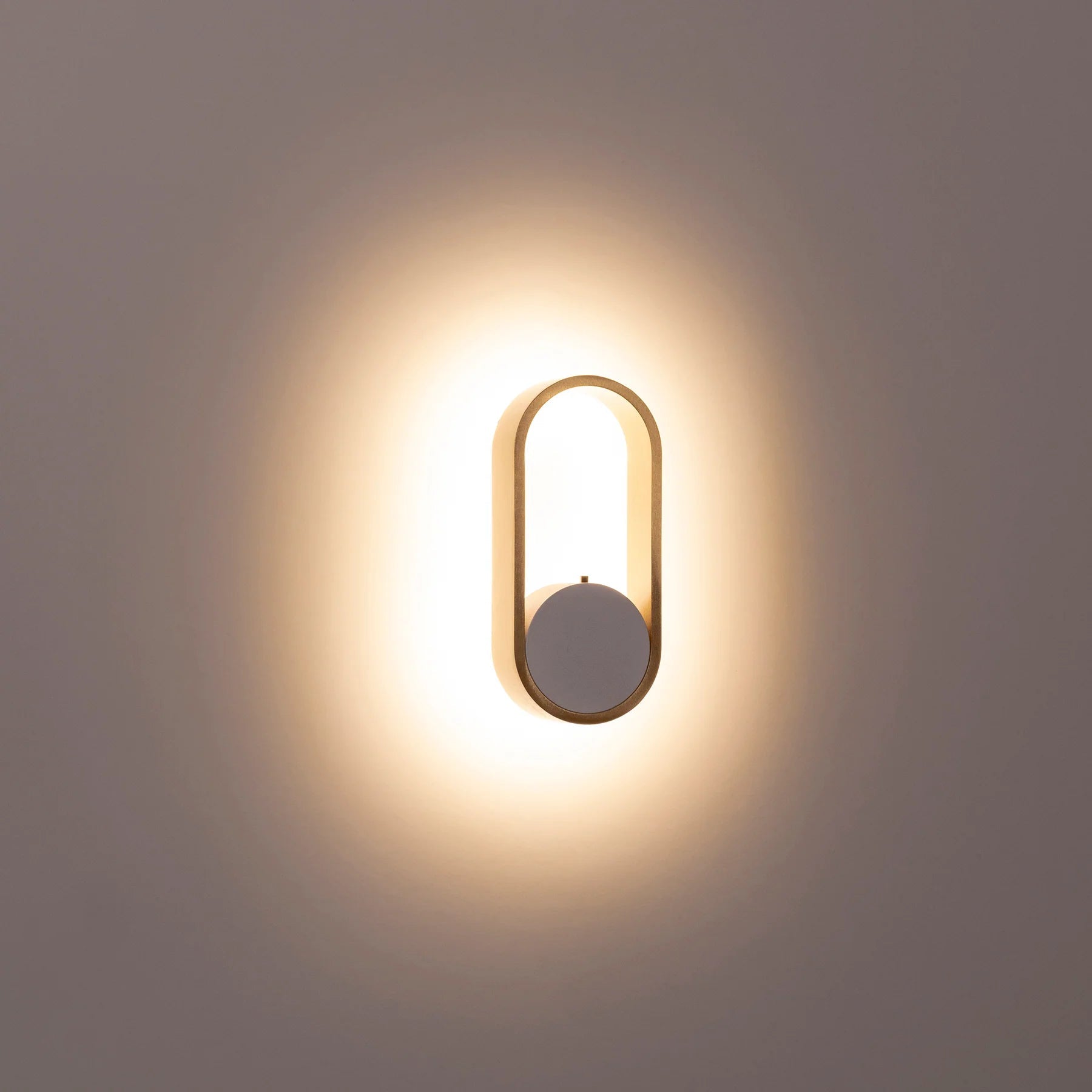 Ovale Indoor LED Wall Light in Black, Black/Brass, White, White/Brass Havit Lighting - HV8080T