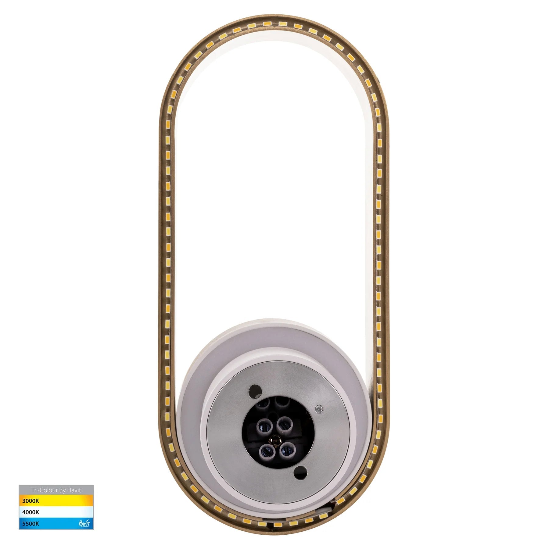 Ovale Indoor LED Wall Light in Black, Black/Brass, White, White/Brass Havit Lighting - HV8080T