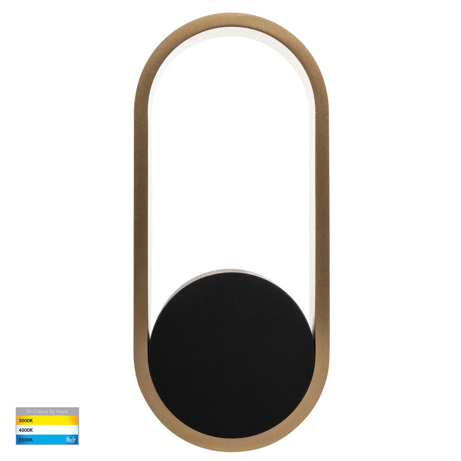 Ovale Indoor LED Wall Light in Black, Black/Brass, White, White/Brass Havit Lighting - HV8080T