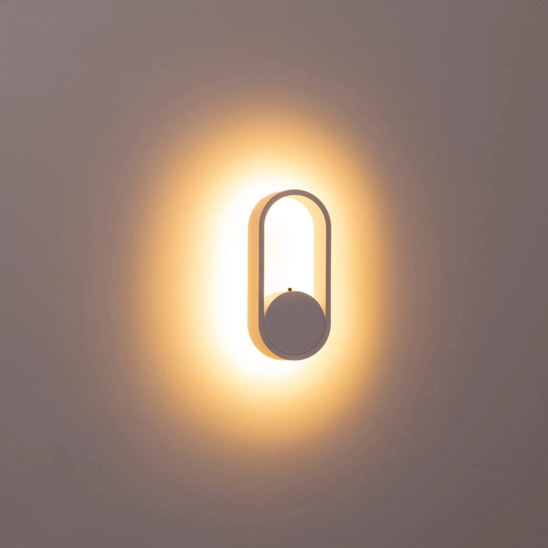 Ovale Indoor LED Wall Light in Black, Black/Brass, White, White/Brass Havit Lighting - HV8080T
