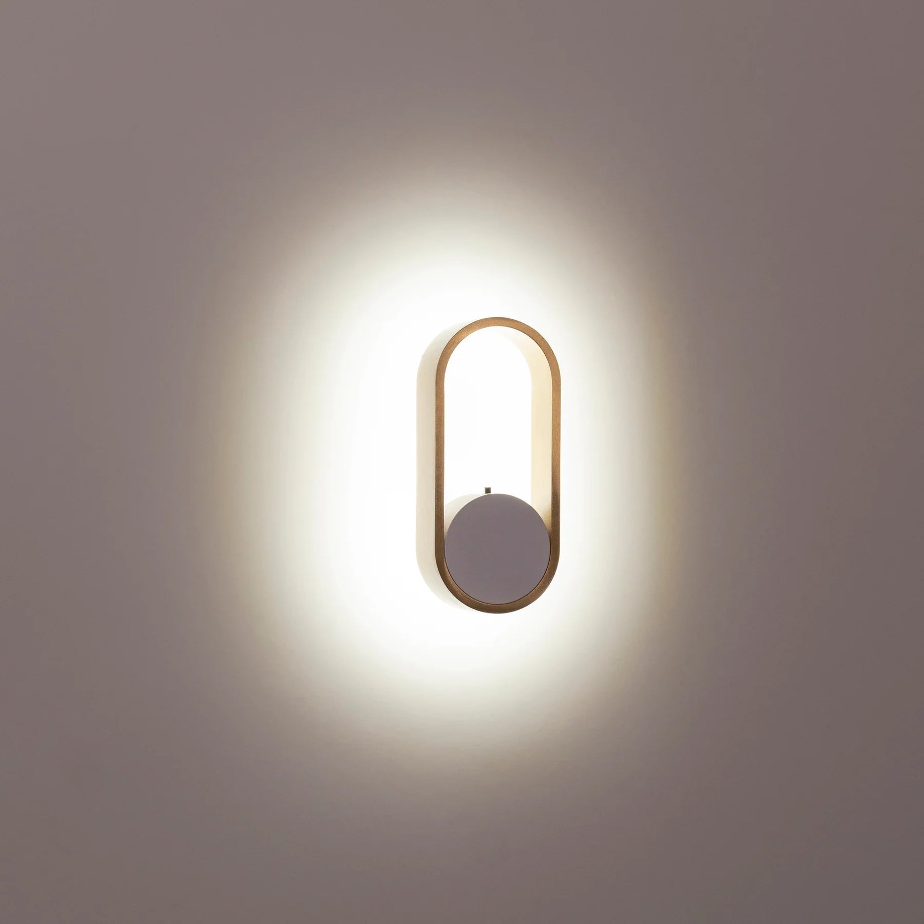 Ovale Indoor LED Wall Light in Black, Black/Brass, White, White/Brass Havit Lighting - HV8080T