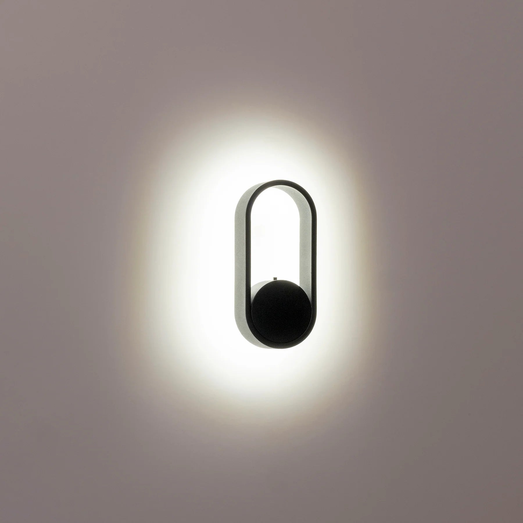 Ovale Indoor LED Wall Light in Black, Black/Brass, White, White/Brass Havit Lighting - HV8080T