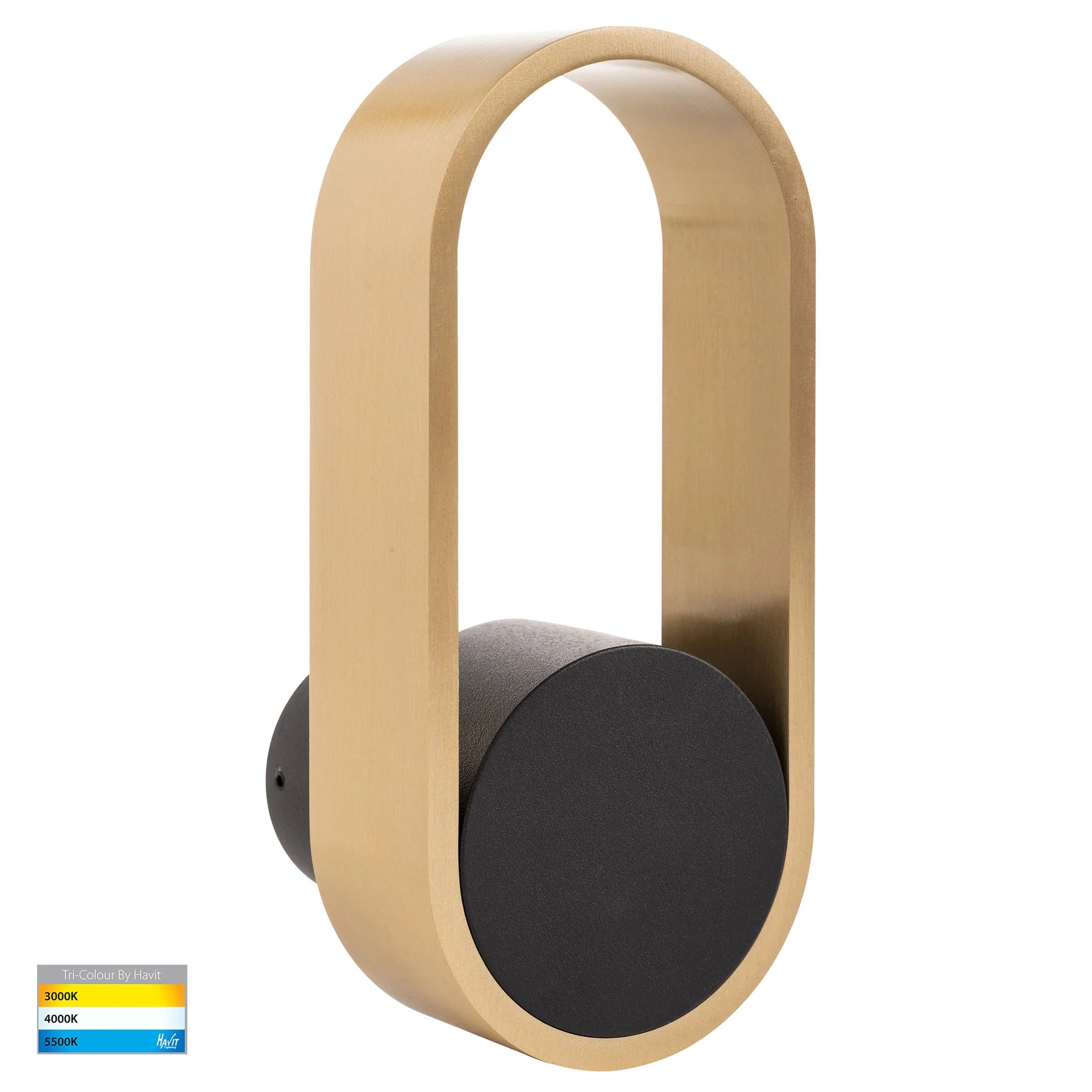 Ovale Indoor LED Wall Light in Black, Black/Brass, White, White/Brass Havit Lighting - HV8080T