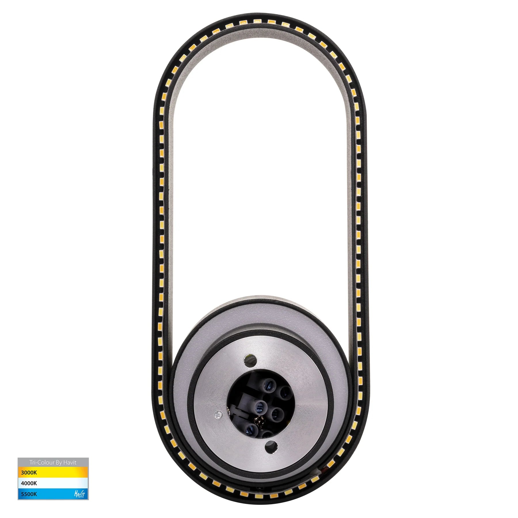 Ovale Indoor LED Wall Light in Black, Black/Brass, White, White/Brass Havit Lighting - HV8080T