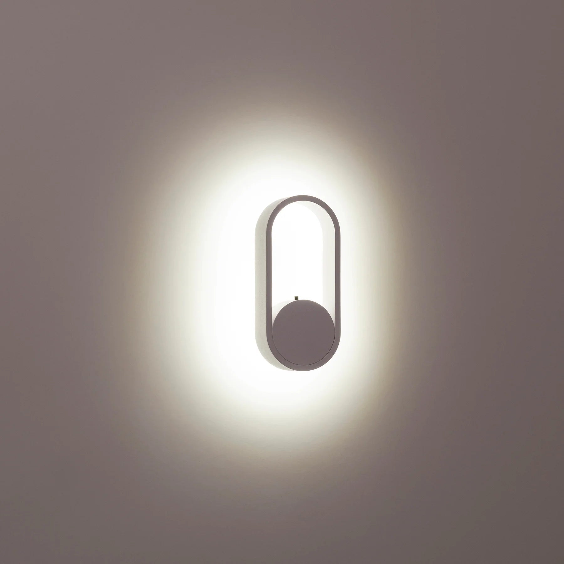 Ovale Indoor LED Wall Light in Black, Black/Brass, White, White/Brass Havit Lighting - HV8080T