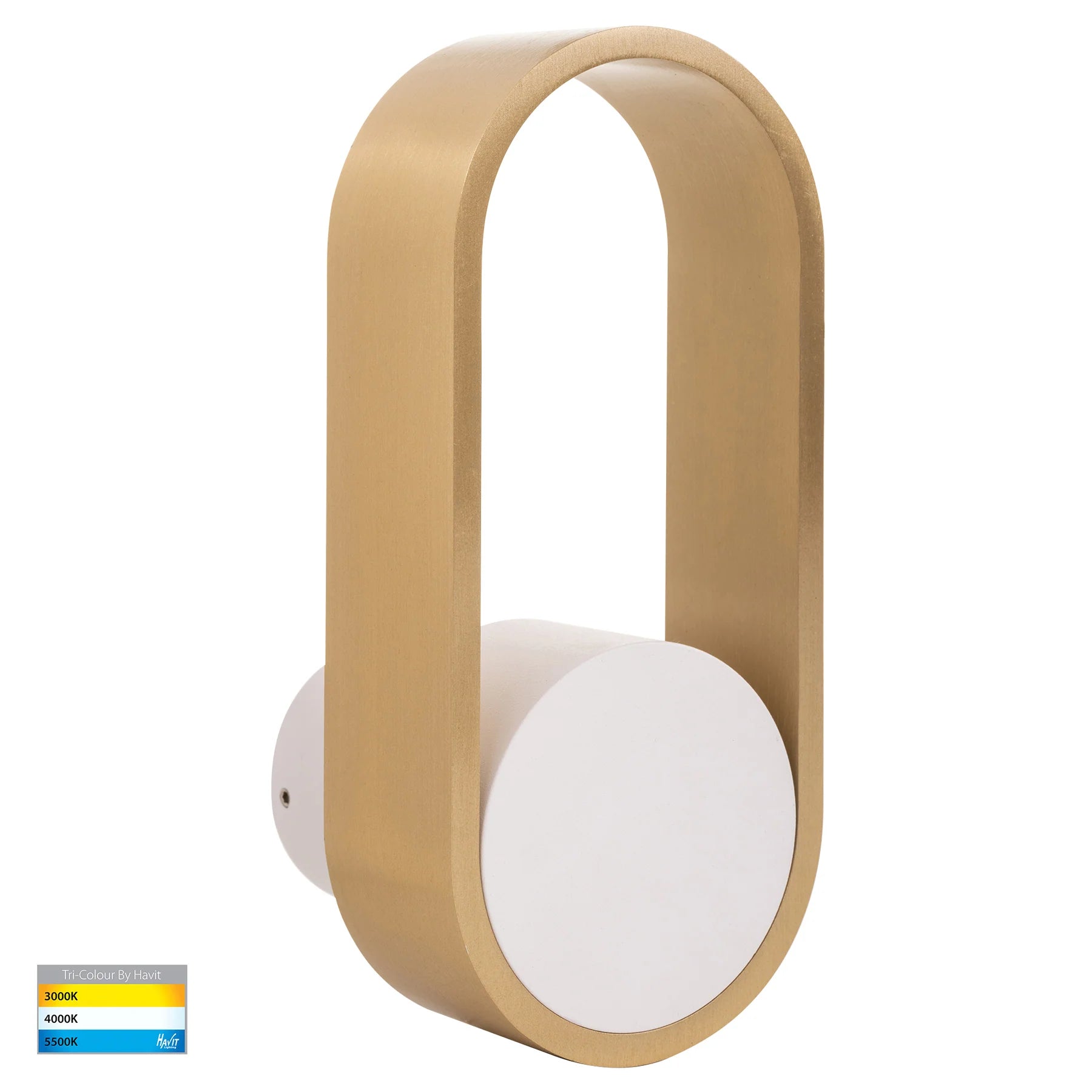 Ovale Indoor LED Wall Light in Black, Black/Brass, White, White/Brass Havit Lighting - HV8080T