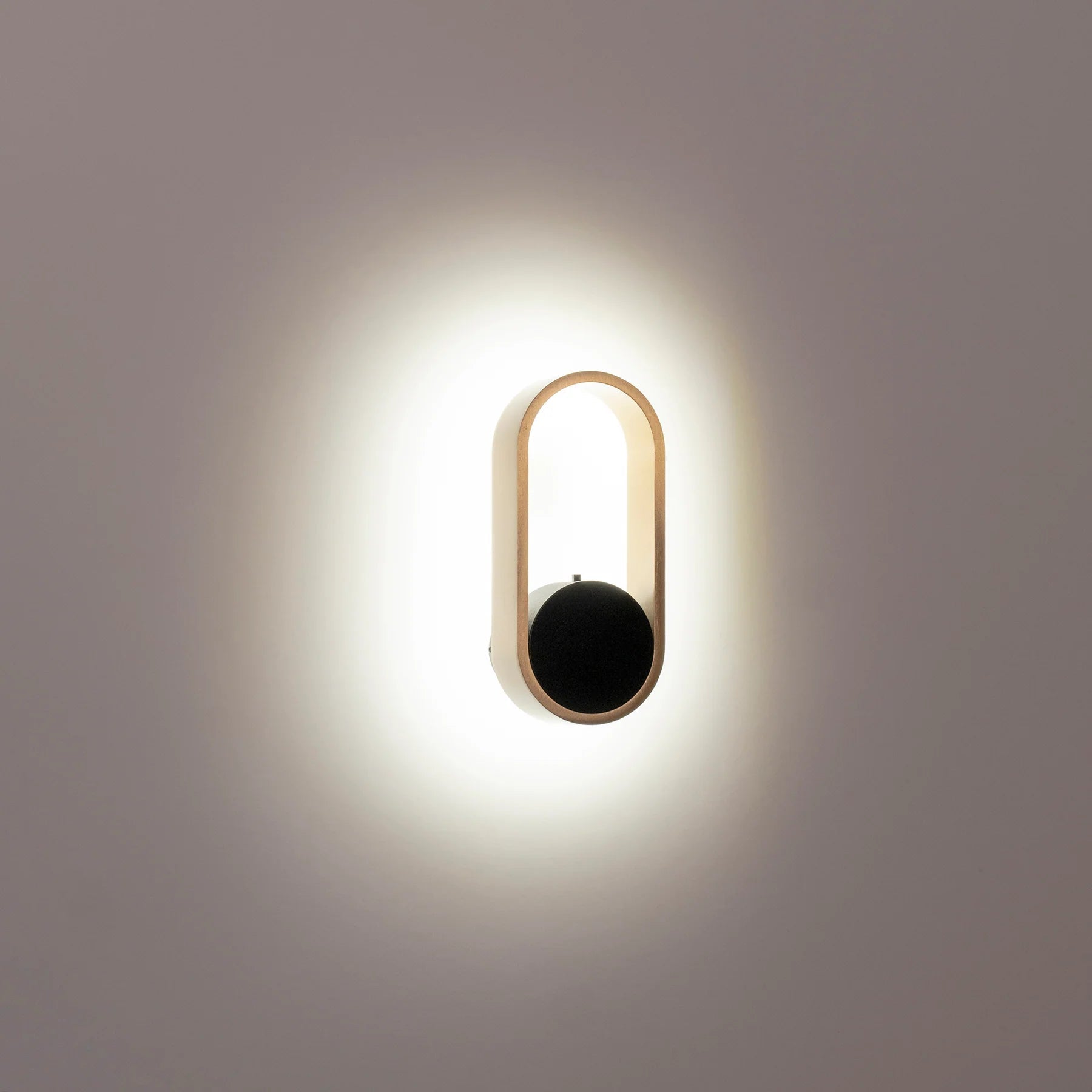 Ovale Indoor LED Wall Light in Black, Black/Brass, White, White/Brass Havit Lighting - HV8080T
