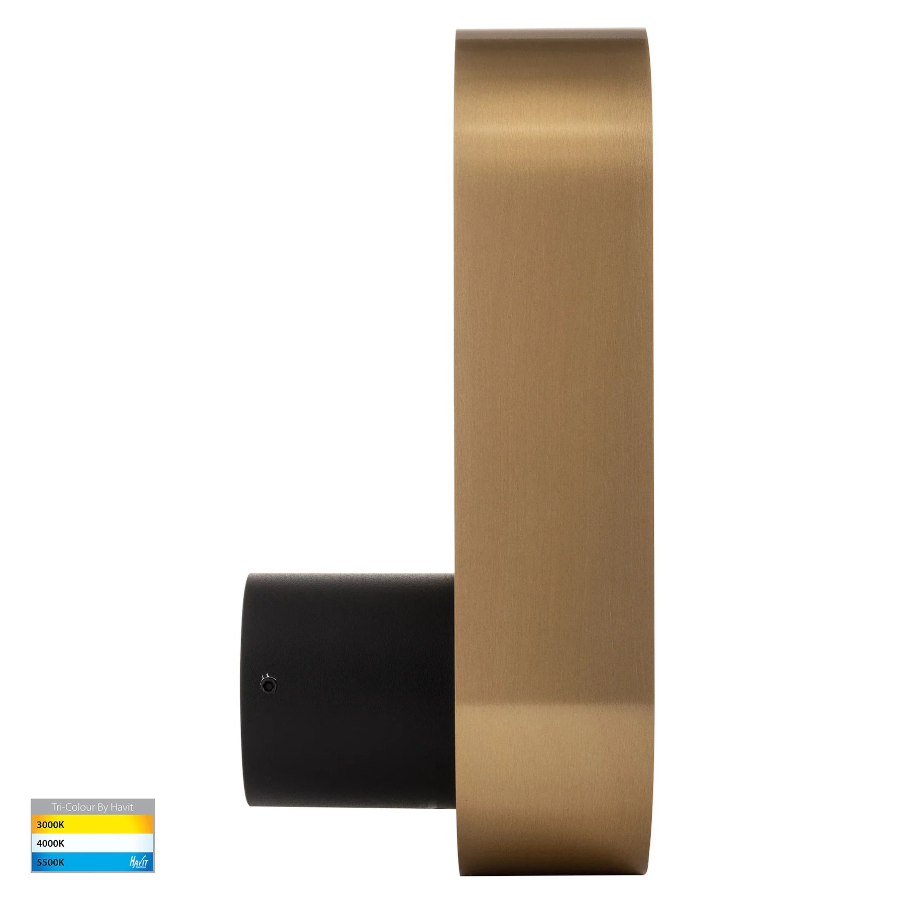 Ovale Indoor LED Wall Light in Black, Black/Brass, White, White/Brass Havit Lighting - HV8080T