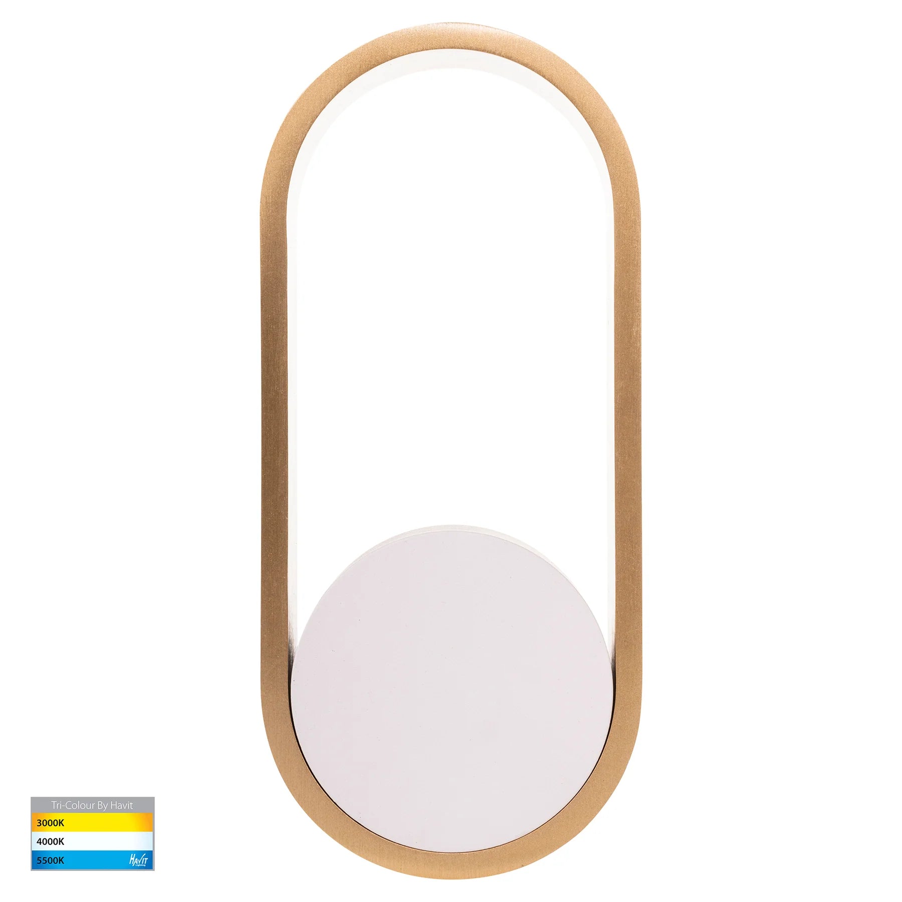 Ovale Indoor LED Wall Light in Black, Black/Brass, White, White/Brass Havit Lighting - HV8080T