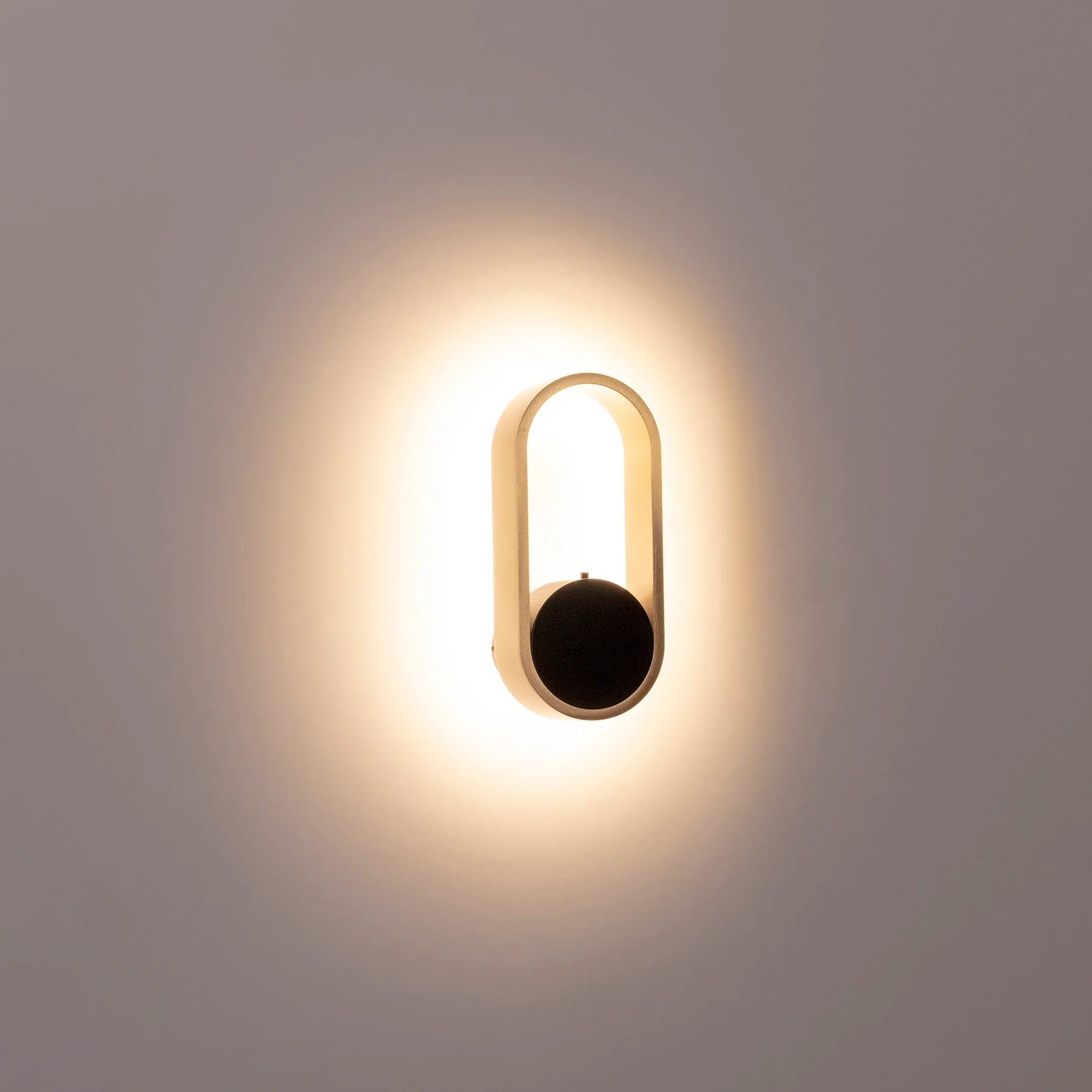 Ovale Indoor LED Wall Light in Black, Black/Brass, White, White/Brass Havit Lighting - HV8080T