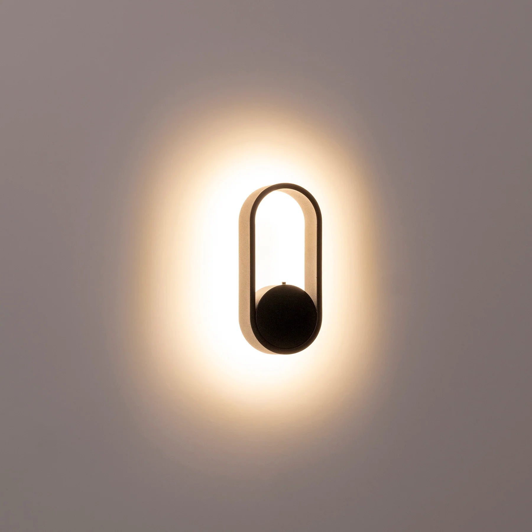 Ovale Indoor LED Wall Light in Black, Black/Brass, White, White/Brass Havit Lighting - HV8080T