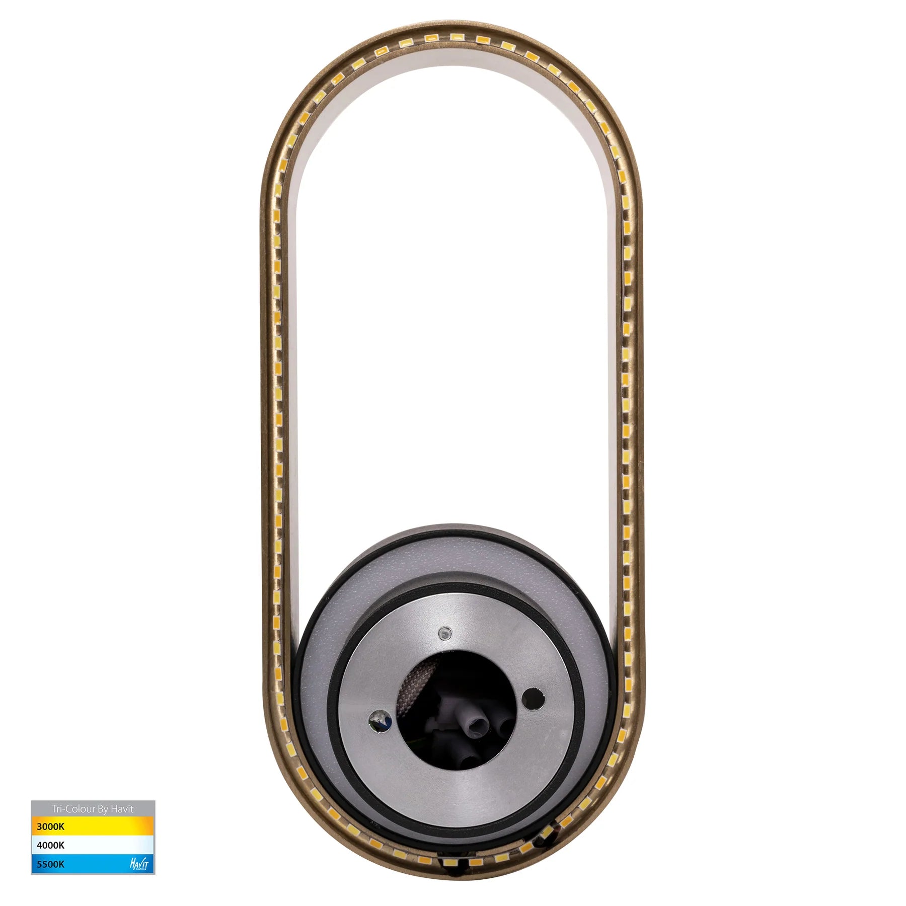 Ovale Indoor LED Wall Light in Black, Black/Brass, White, White/Brass Havit Lighting - HV8080T