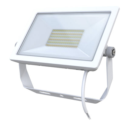 Starpad Ii Led Floodlight 15W/30W/50W/100W In Black, Silver Or White - Mases LightingSAL