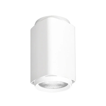 Surface Mounted LED Downlight 25w White, Black 3k, 4k CRI 90+ XSI253, XSI254 Trend Lighting - Mases LightingTrend Lighting