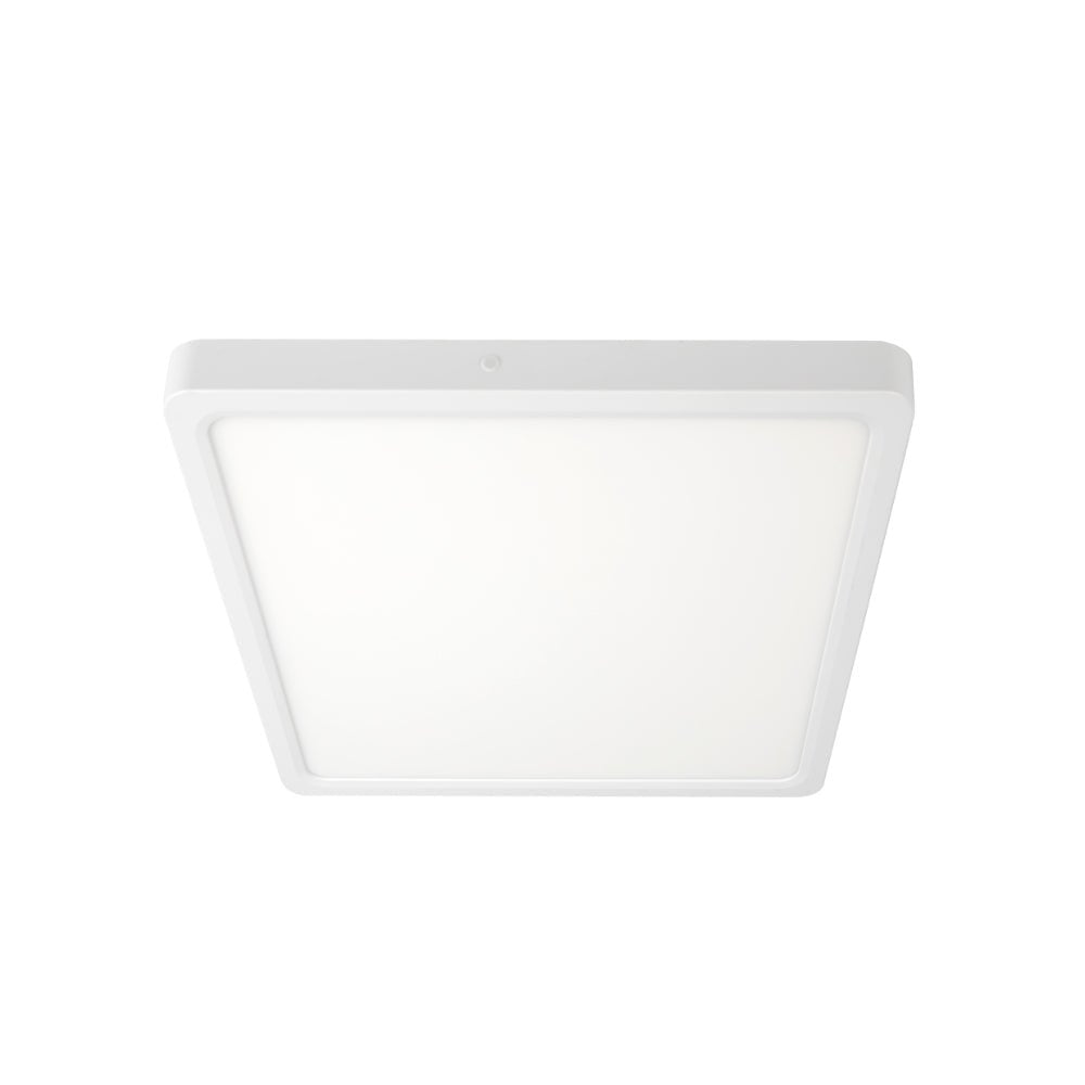 Telbix Lunos 23CM 30CM 40CM LED Oyster Light