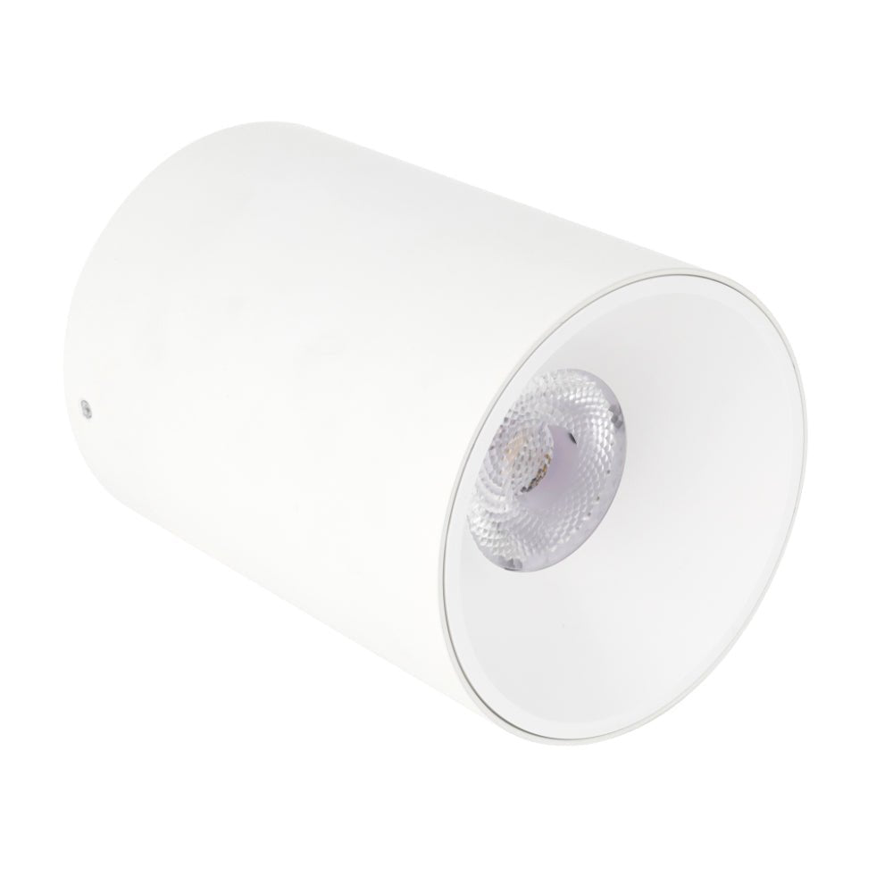 Telbix OREN CTC 12W LED - Mases LightingTelbix