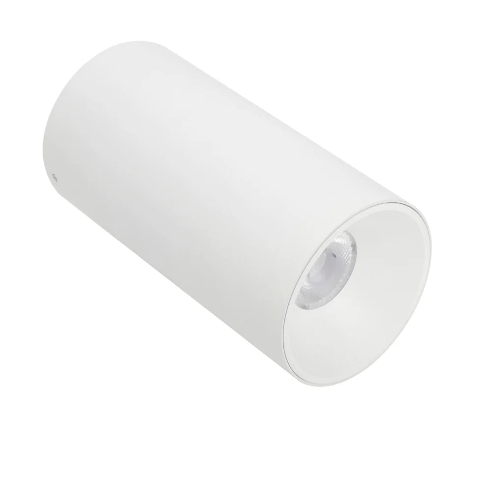 Telbix OREN CTC 24W LED - Mases LightingTelbix