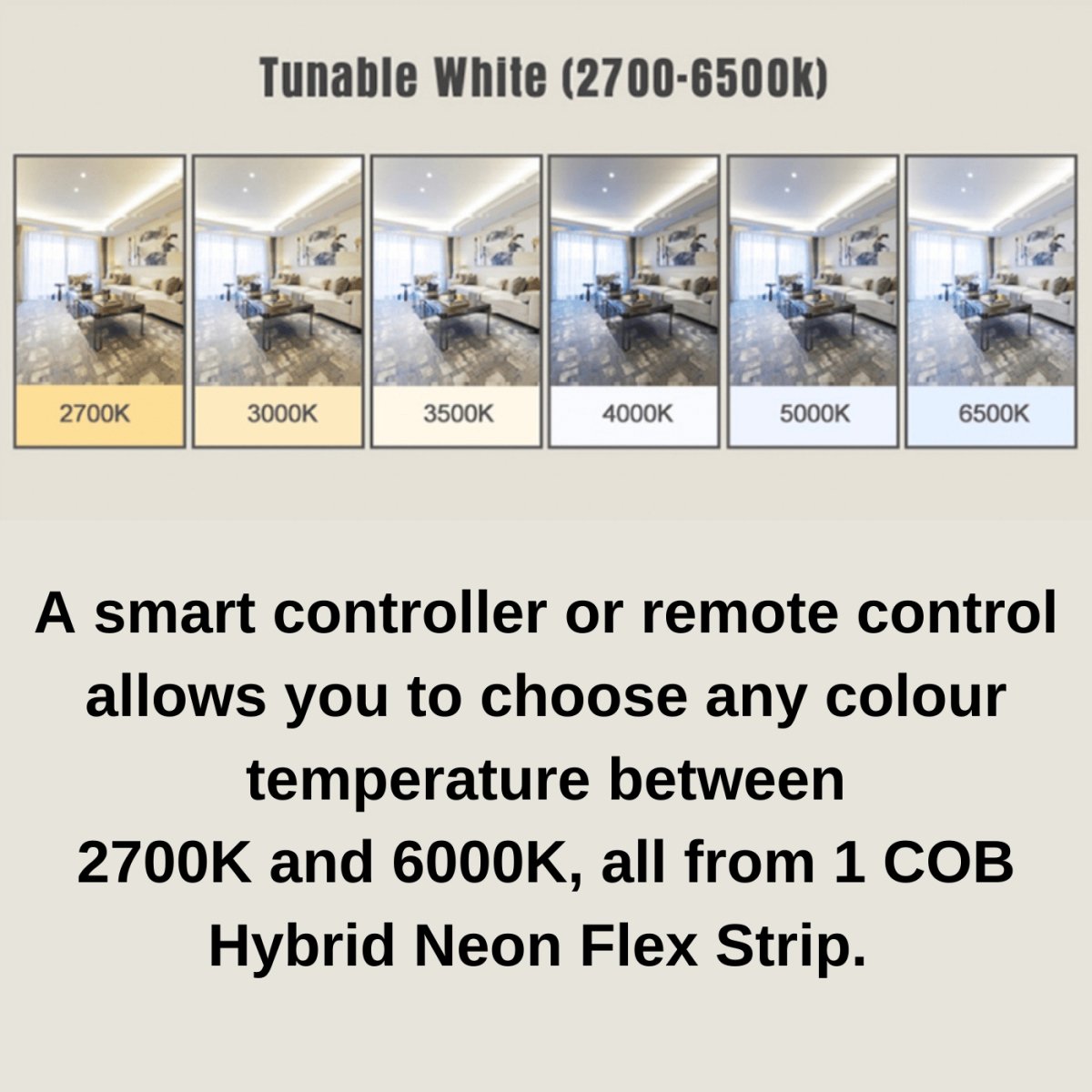 12mm | 24W/m DTW 2700K - 6500K | IP20 | COB Dot Free LED Strip Light - Mases LightingLighting Creations