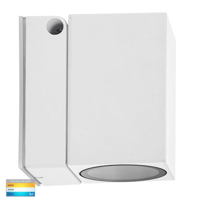 Accord Adjustable LED Wall Light 1Lt TRI Colour 5w in Black/White Havit Lighting - HV3630T-BLK, HV3630T-WHT - Mases LightingHavit Lighting