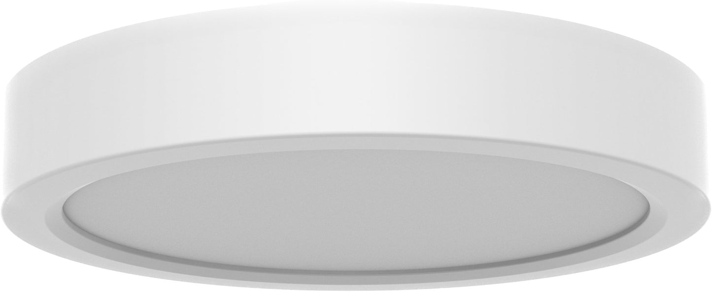 Evolve DC Ceiling Fan by Hunter Pacific – White, Black or Koa Blades 52" - Mases LightingHunter Pacific