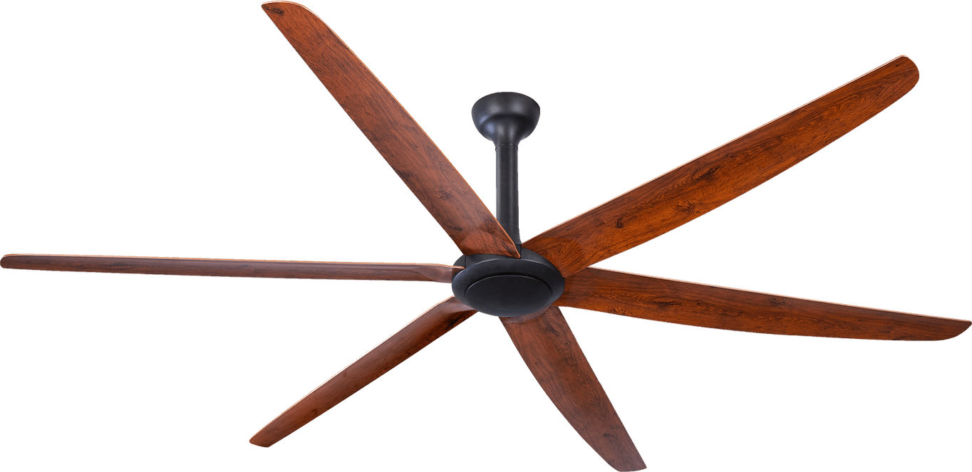 Hunter Pacific The Big Fan V2 DC Ceiling Fan with Remote – Black with Natural Oak 106″ - Mases LightingHunter Pacific