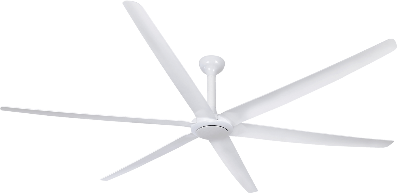 Hunter Pacific Big Fan 86