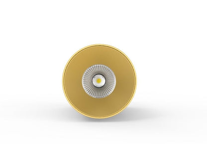 LC307 12W Surface Mounted Downlight CCT Brass 200mm - Mases LightingLighting Creations
